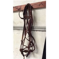 Leather Bridle with Unique Iron Bit