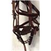Image 3 : Leather Bridle with Unique Iron Bit