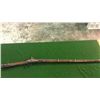 Image 2 : Very Unusual Large Caliber Percussion Long Gun w/Grooved Barrel