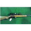 Image 1 : Marlin 25MN .22 WMR Only