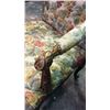 Image 3 : Large Carved & Upholstered Fire Side Arm Chair