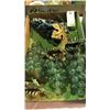 Image 1 : Glass and Stone Grapes