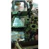 Image 1 : Candle Holders and Picture Frames