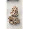 Image 1 : 2 Decorative Rocks