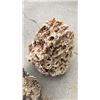 Image 2 : 2 Decorative Rocks