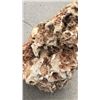 Image 3 : 2 Decorative Rocks