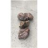Image 1 : 3 Decorative Rocks