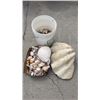 Image 1 : Sea shell collection