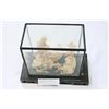 Image 1 : ASIAN HAND CARVED WOOD TERRARIUM