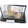 Image 2 : ASIAN HAND CARVED WOOD TERRARIUM