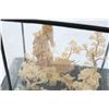 Image 3 : ASIAN HAND CARVED WOOD TERRARIUM