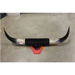 SET OF BULL HORNS