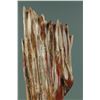 Image 2 : Chinese Fine Wood Fossil Scholar Stone with Stand