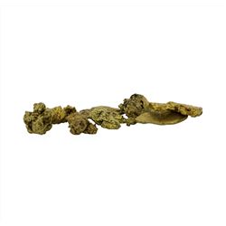 3.1 Gram Total Weight Gold Nuggets