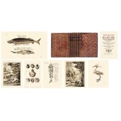 Marsigli, [Luigi Ferdinando] Louis Ferdinand de: Description du Danube, depuis la Montagne de Kal…