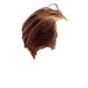 Image 2 : Resident Evil 6 Dr. Isaacs (Iain Glen) Hero Wig Movie Props