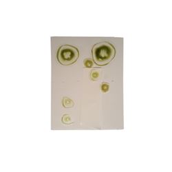 Falling Skies Skitter SFX Wound Movie Props