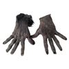 Image 1 : Underworld: Lycan Hands Movie Props