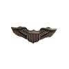 Image 1 : The Age of Adaline Lot of Winged Military Pins Movie Props