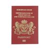 Image 2 : The Age of Adaline Ellis Jones (Michiel Huisman) Passport Movie Props
