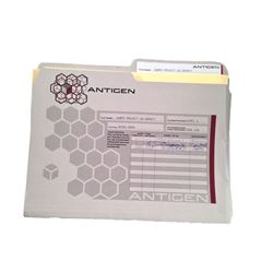 Awakening: Antigen Case Folder Movie Props
