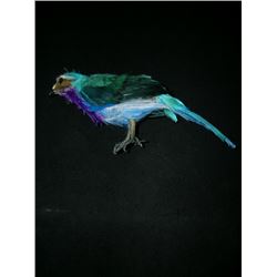 Mirror Mirror Snow White (Lily Collins)Bird Movie Props