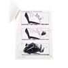 Image 2 : Underworld: Evolution Storyboards