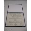 Image 2 : Something Borrowed Dex (Colin Egglesfield) Diploma Movie Props