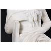 Image 4 : Marble Statue of Moses