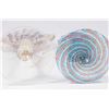 Image 9 : 2 Venetian Swirl Glass Card Holders