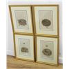 Image 4 : Set 8 Birds Nests Colored Prints