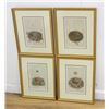 Image 5 : Set 8 Birds Nests Colored Prints