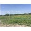 Image 9 : SEIZED REAL ESTATE - 5.19 AC W/ MOBILE HOME IN HIDALGO COUNTY
