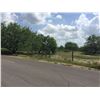 Image 7 : SEIZED REAL ESTATE - 5.19 AC W/ MOBILE HOME IN HIDALGO COUNTY