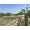 Image 8 : SEIZED REAL ESTATE - 5.19 AC W/ MOBILE HOME IN HIDALGO COUNTY