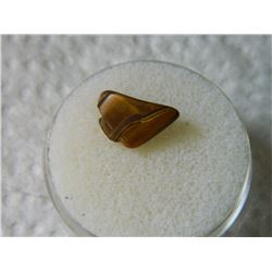 GEM STONE - TIGER'S EYE - POLISHED FREE FORM