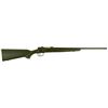 Image 1 : Savage 96975 B.Mag Heavy Barrel Bolt 17 Winchester Super Magnum (WSM) 22" 8+1 Synthetic Black Stk Bl