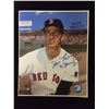 Image 1 : SIGNED 8" X 10" BOSTON RED SOX (1967 CY YOUNG)