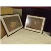Image 1 : FRAMED PRINT - SOARING SEA GULL - 2 TTL