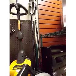 WALKING STICKS - 2 TTL