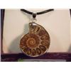 Image 1 : NECKLACE PENDANT - NEW POLISHED AMMONITE PENDANT IN STERLING SILVER SETTING