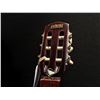 Image 2 : 2 GUITARS: DANA NYLON STRING GUITAR AND A MADEIRA MODEL C600 NYLON STRING GUITAR, SERIAL NUMBER
