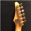 Image 8 : SAMICK ELECTRIC GUITAR WITH FLOYD ROSE VIBRATO BRIDGE, LOCKING NUT, SINGLE, HUMBUCKER, AND DUAL