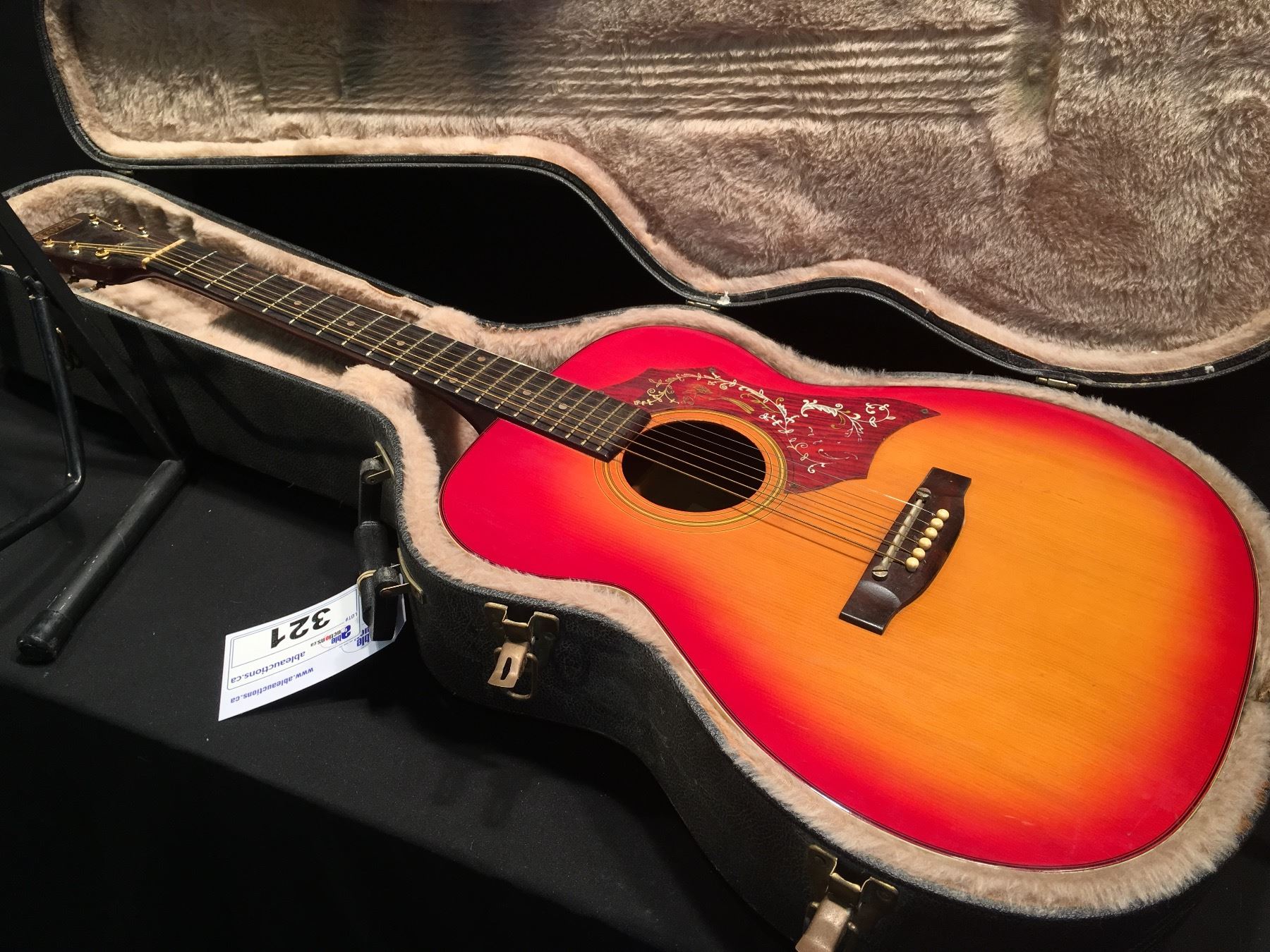 RAVEN MODEL A-203Y ACOUSTIC GUITAR, COMES WITH HARD SHELL CASE