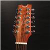 Image 2 : DEAN TRANSITION S12 GN 12 STRING ACOUSTIC GUITAR, COMES WITH HARD SHELL CASE