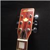 Image 2 : NORTHERN MODEL NW-75 ACOUSTIC GUITAR, MADE IN JAPAN, SERIAL NUMBER 61211, COMES WITH SOFT CASE