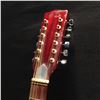 Image 2 : CANORA MODEL A620 12 STRING ACOUSTIC GUITAR, MADE IN JAPAN, COMES WITH SOFT SHELL CASE