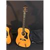 Image 2 : 3 GUITARS: MAGNUM MARQUIS SERIES MS-240 ACOUSTIC GUITAR WITH SOFT SHELL CASE, HONDO MODEL H-18-12