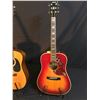 Image 2 : 3 GUITARS: VANTEK MODEL VIS-1 ACOUSTIC GUITAR, EL DEGAS MODEL GB23 ACOUSTIC GUITAR, AND EKO MODEL