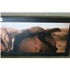 Image 3 : SIGNED HORSE PRINT
